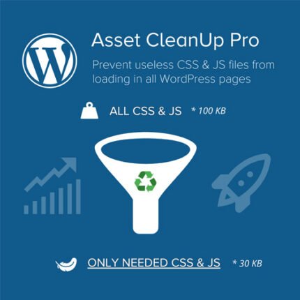 Asset CleanUp Pro - Gpl theme