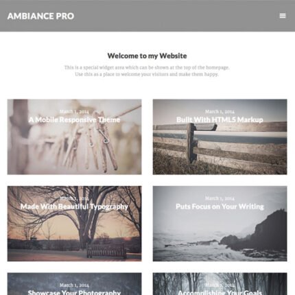 StudioPress Ambiance Pro Genesis WordPress Theme - Gpl theme